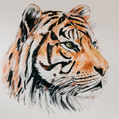 TIGER // STAY WILD