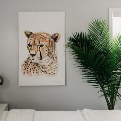 Cheetah