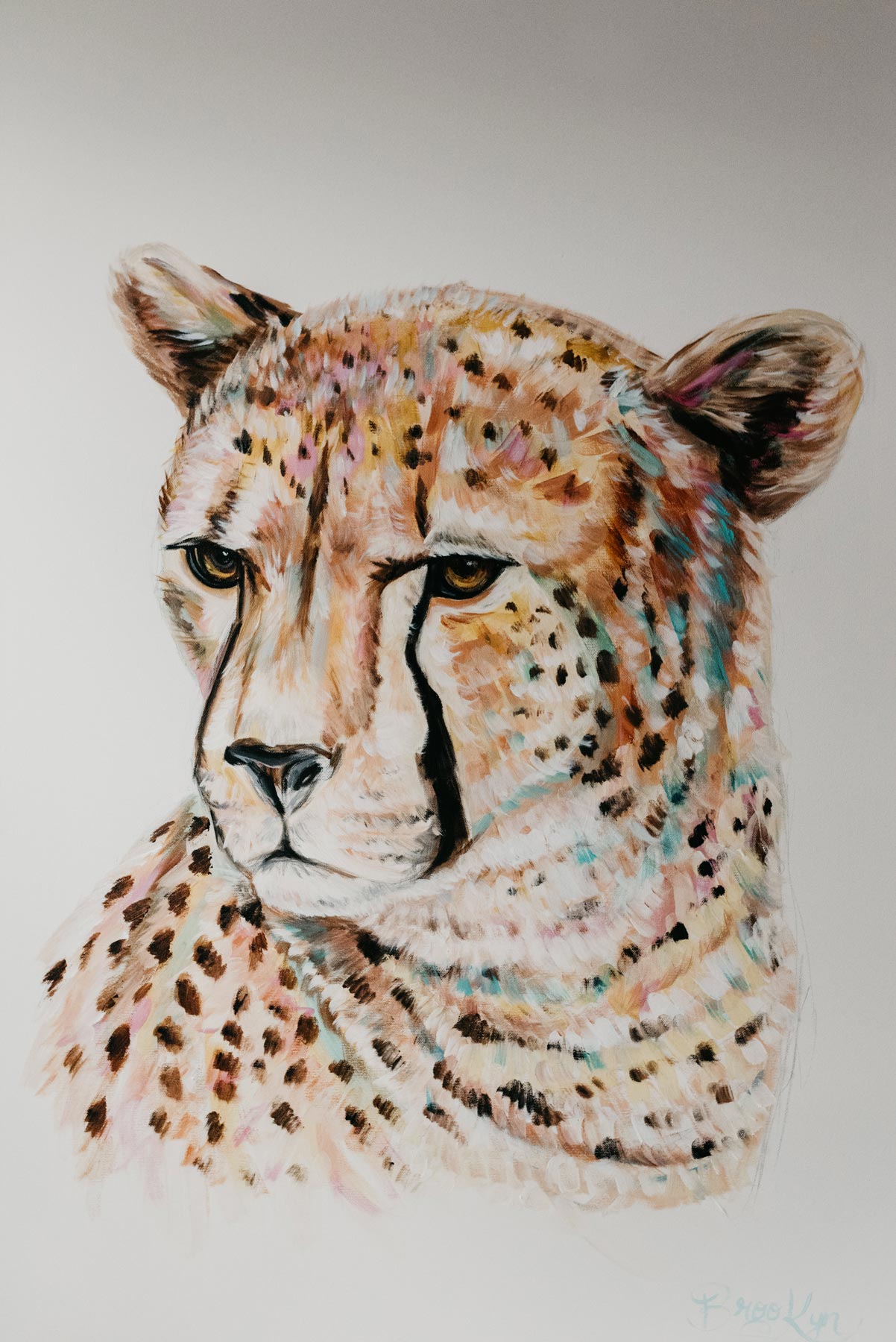 Cheetah - Image 2