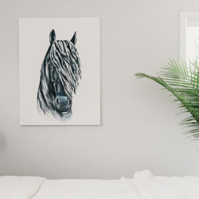 STALLION // STAY WILD