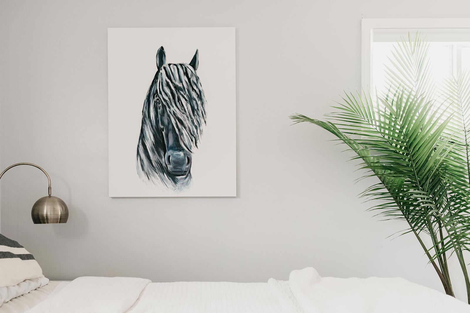 STALLION // STAY WILD