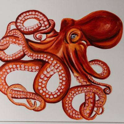 OCTOPUS // STAY WILD