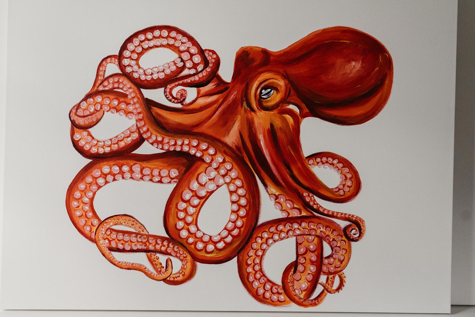 OCTOPUS // STAY WILD