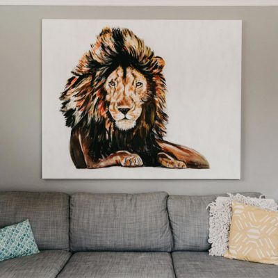 LAYING LION // STAY WILD