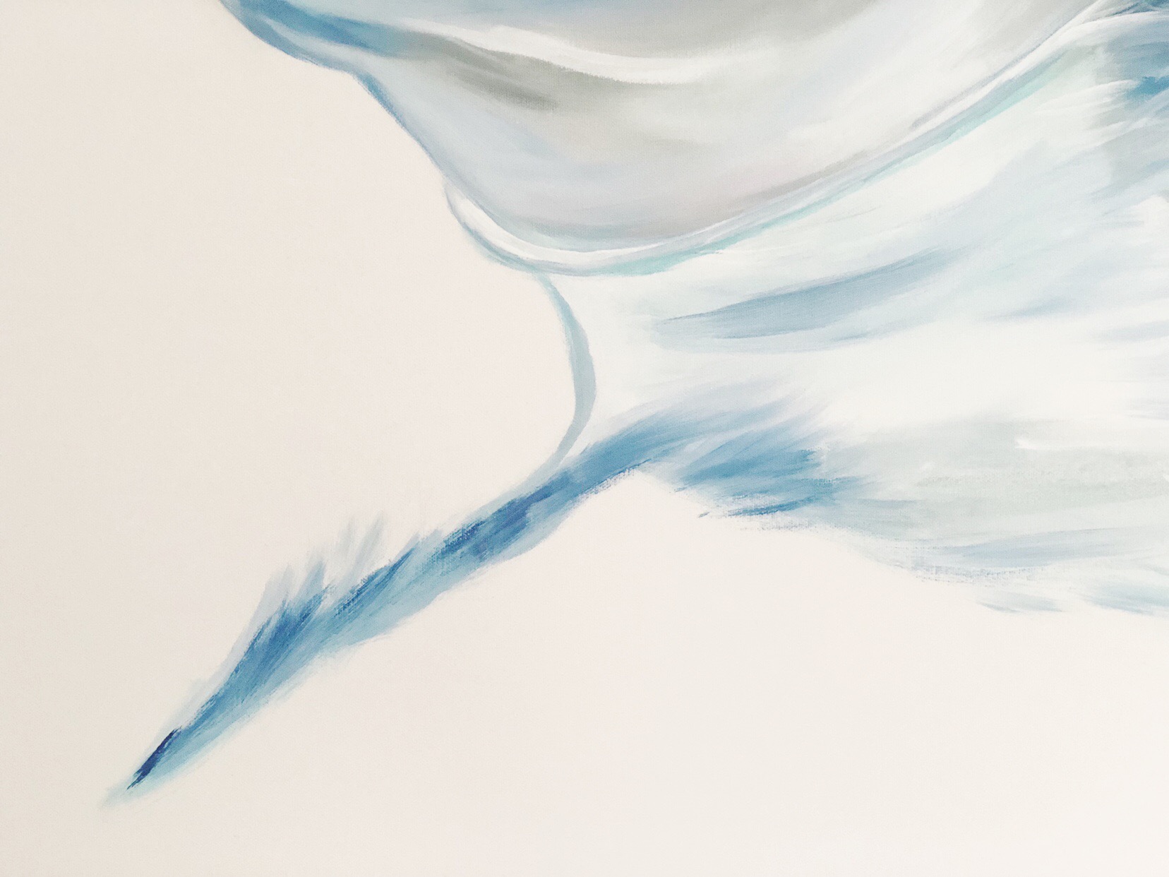 DOLPHIN // FLOAT - Image 2
