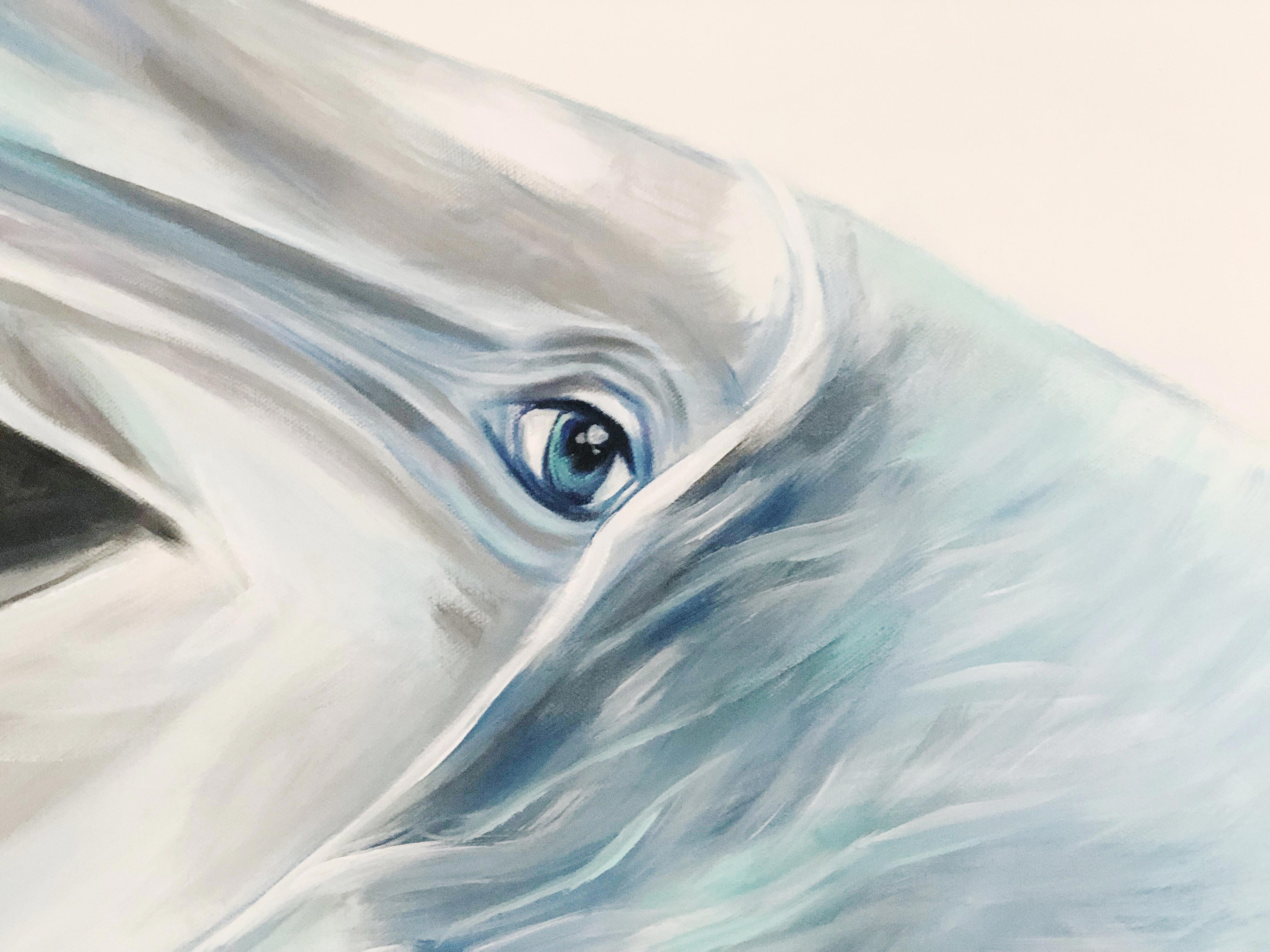 DOLPHIN // FLOAT - Image 5