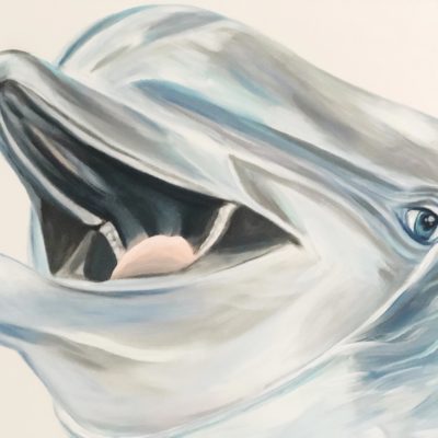 DOLPHIN // FLOAT