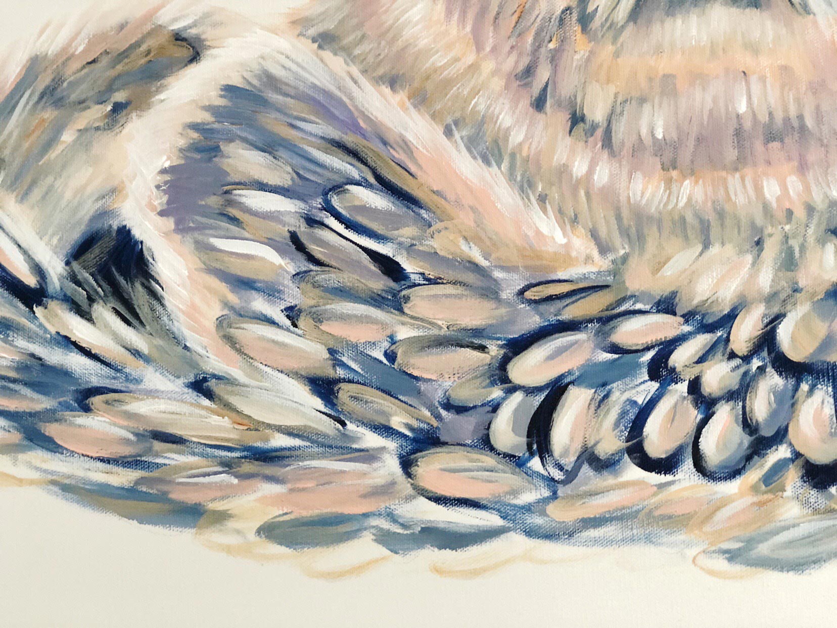 OTTER // FLOAT - Image 3