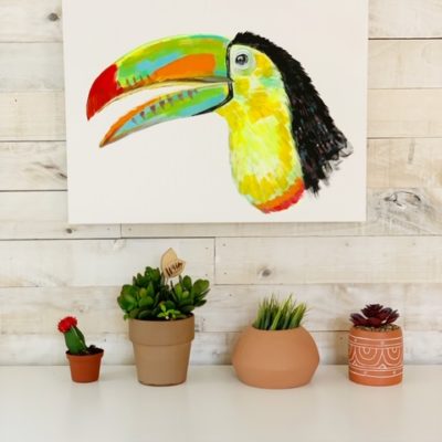 Toucan