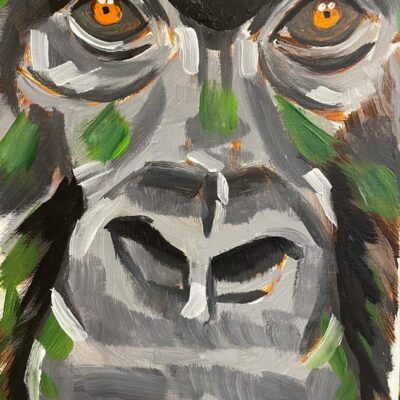 Mountain Gorilla / VIDEO