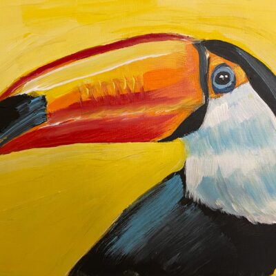 Toucan