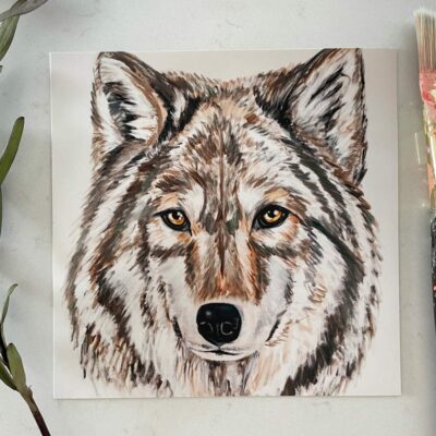 Portrait of a Forest Wolf