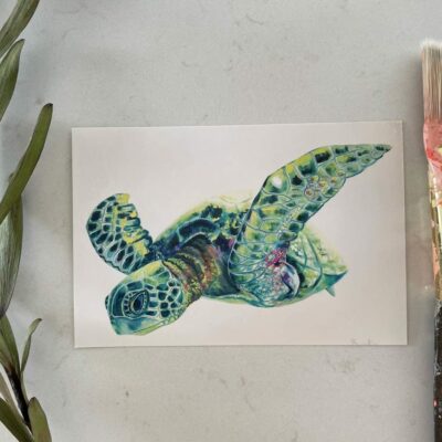 Portrait of a Sea Turtle