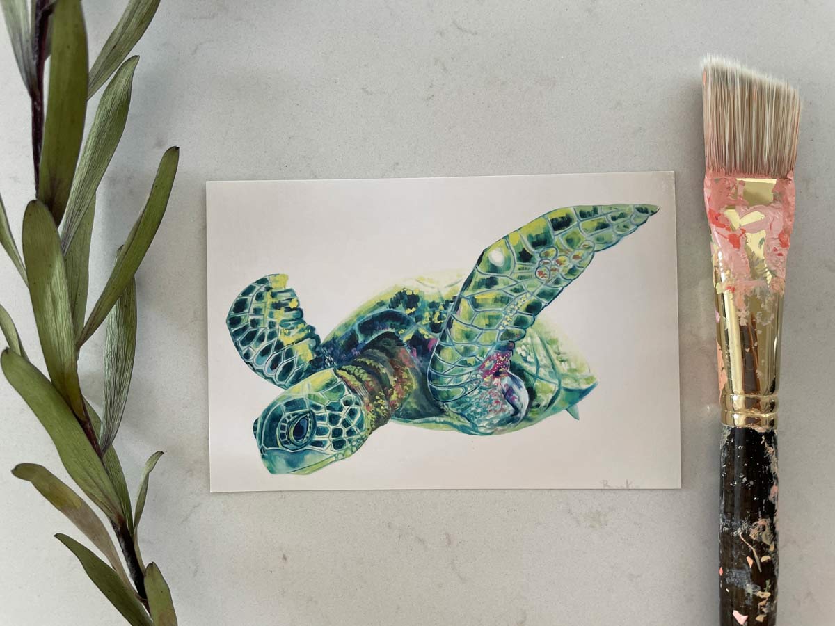 Portrait of a Sea Turtle