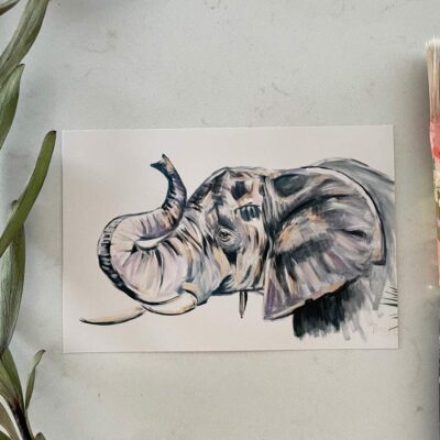 Portrait of an Elephant