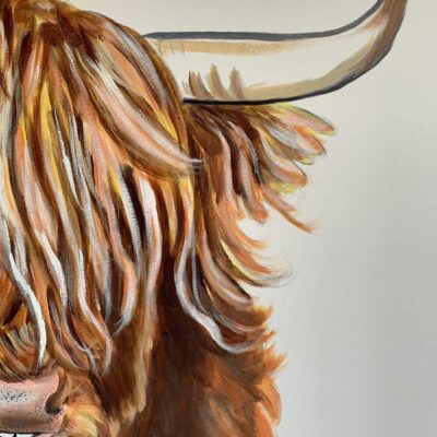 Highland Bull