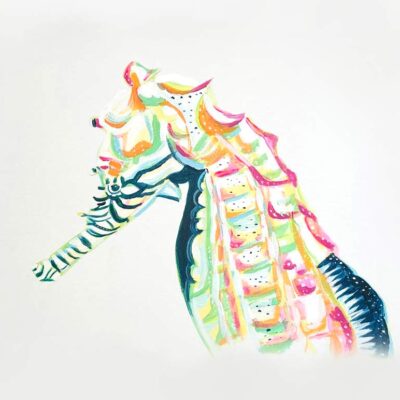 Seahorse