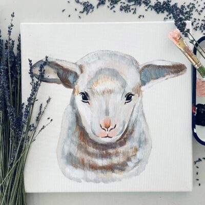 Lavender the Lamb