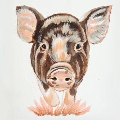 Pistachio the Pig