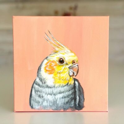 Cockatoo 8x8