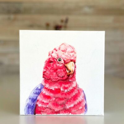 Fancy Jungle Bird 8x8