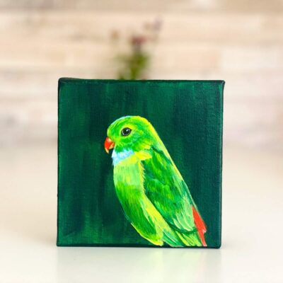 Green Parrot 6x6