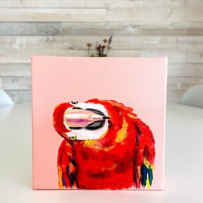 Red Macaw 5x5