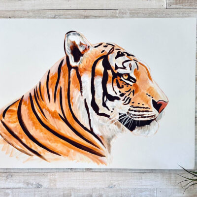 Ginger the Tiger