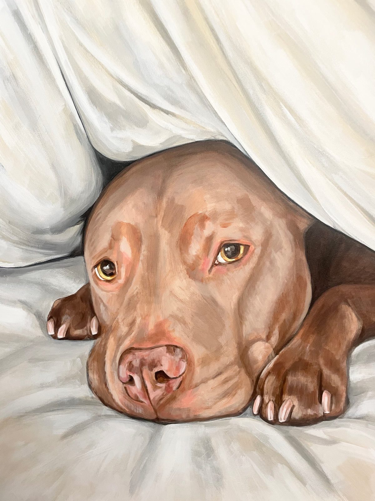 Pitbull Portrait - Image 2